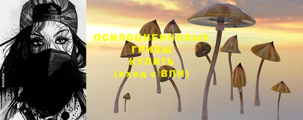 бошки Алексин