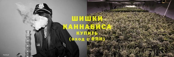 бошки Алексин