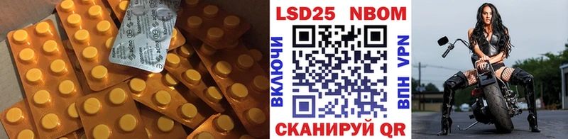 как найти закладки  Бердск  LSD-25 экстази ecstasy 