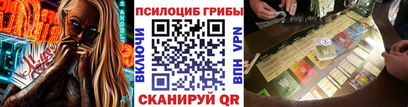 наркошоп  Бердск  Галлюциногенные грибы Cubensis 